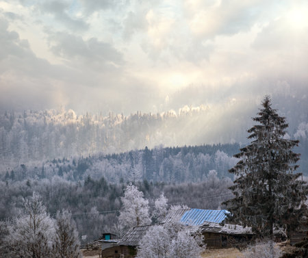 Winter coming. Picturesque pre sunrise scene above late autumn mountain countryside with hoarfrost on grasses, trees, slopes. Peaceful fairy sunlight rays from cloudy sky. Ukraine, Carpathian.の写真素材
