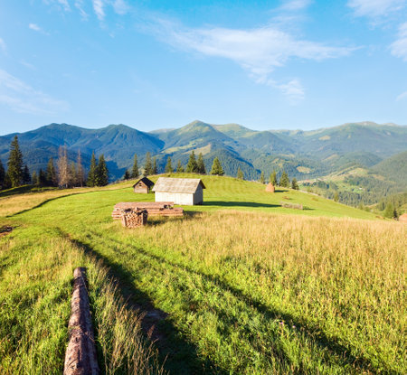 Firewood stack on summer mountain farmyard  (Carpathian, Ukraine)の写真素材