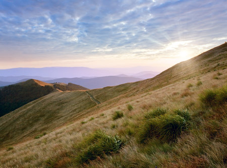 Autumn sunrise mountain view with grass and haze (Carpathian, Ukraine)の写真素材