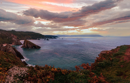 Evening Costa de Loiba landscape with blossoming bushes and rock formations near shore (Asturias, Spain). Two shots stitch panorama.の写真素材