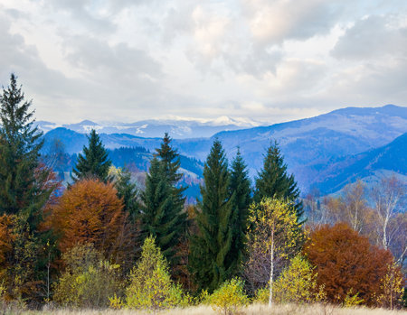 Morning autumn colorful forest and snow on mountain top behind.の写真素材