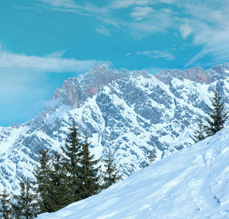 Winter mountain landscape with snowy spruce trees on slope (Hochkoenig region, Austria)の写真素材