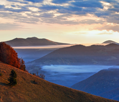 Morning fog in autumn Carpathian. Mountain top daybreak landscape.の写真素材