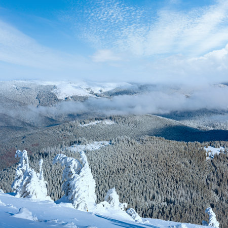 Winter mountain landscape with snowy trees on slope in frontの写真素材