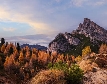 Colorful autumn alpine Dolomites rocky  mountain scene, Sudtirol, Italy. Peaceful view from Falzarego Pass. Picturesque traveling, seasonal, nature and countryside beauty concept scene.の写真素材
