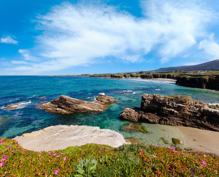 Summer blossoming Atlantic coastline landscape with pink flowers and three beaches Islas, Xuncos and Castros (Spain).の写真素材