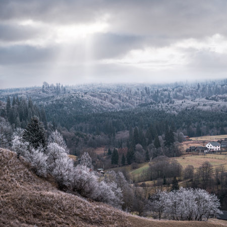 Winter coming. Cloudy and foggy morning very late autumn mountains scene. Peaceful picturesque traveling, seasonal, nature and countryside beauty concept scene. Carpathian Mountains, Ukraine.の写真素材