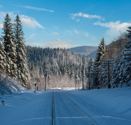 Railway through snowy fir forest and remote alpine helmet in Carpathian mountains, snow drifts  on waysideの写真素材