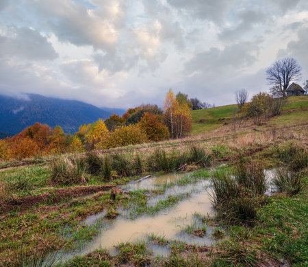 Hazy and overcast autumn Carpathian Mountains and dirty countryside path, Ukraine.の写真素材