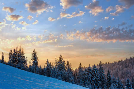 Evening sky with yellow clouds over winter Ukrainian Carpathian Mountains.の写真素材