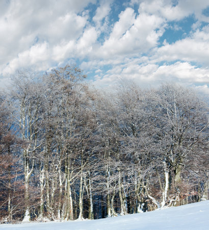 October mountain beech forest edge and first winter snow. Two shots stitch image.の写真素材