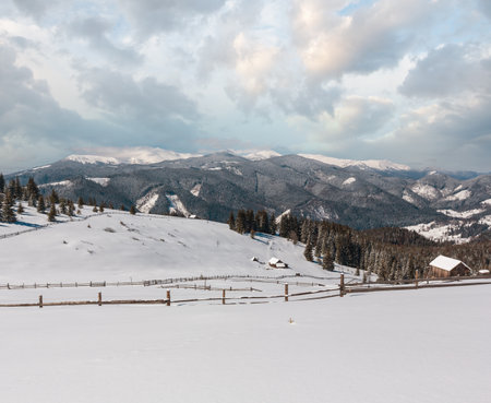 Picturesque snowy winter mountain slope and lone farmhouse on plateau farmstead, Carpathian, Ukraine. Chornohora ridge panorama and Pip Ivan mountain with observatory on top in clouds behind.の写真素材