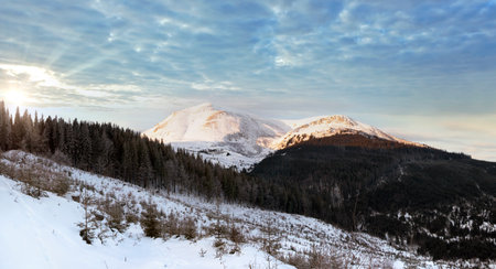 Winter daybreak mountain landscape (Ukraine, Carpathian Mt's, Petros Mountain)の写真素材