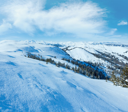 Morning winter mountain landscape with fir trees on slope (Hochkoenig region, Austria)の写真素材