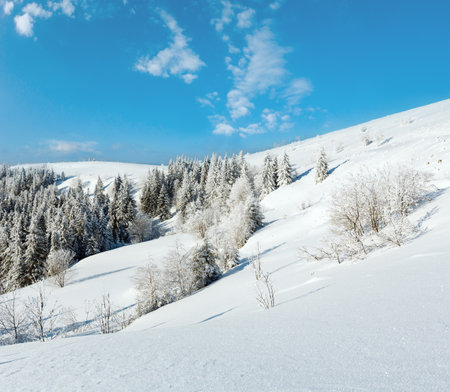 Winter calm mountain landscape with beautiful frosting trees and snowdrifts on slope (Carpathian Mountains, Ukraine)の写真素材