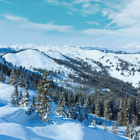 Winter mountain landscape with snowy spruce trees on slope (Hochkoenig region, Austria)の写真素材