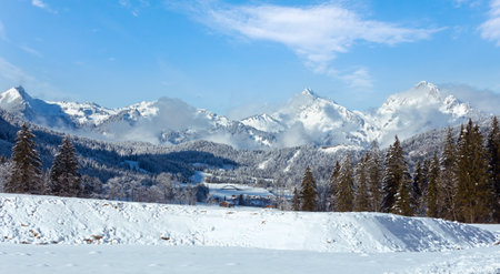 Winter mountain country landscape with fir trees (Heiterwang outskirts, Austria, Tirol)の写真素材