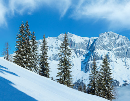 Morning winter mountain panorama with fir trees in front (Hochkoenig region, Austria)の写真素材
