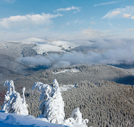 Winter mountain landscape with snowy trees on slope in frontの写真素材
