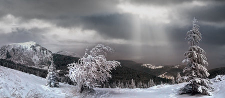 Night winter mountain landscape in full moon moonlight rays, Carparhian Mountains, Ukraine.の写真素材