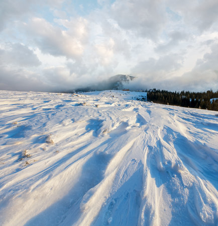 Morning winter mountain range view with clouds and fir trees on slope(Carpathian).の写真素材