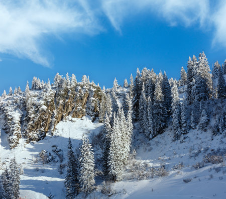 Winter mountain with snowy fir on rock slope.の写真素材
