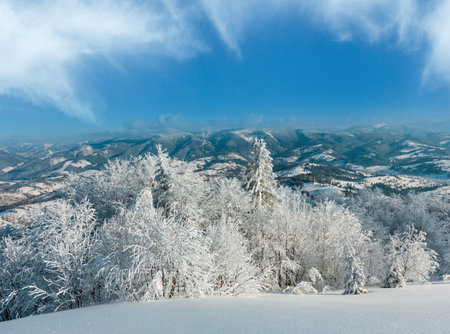 Winter calm mountain landscape with beautiful frosting trees and snowdrifts on slope (Carpathian Mountains, Ukraine)の写真素材