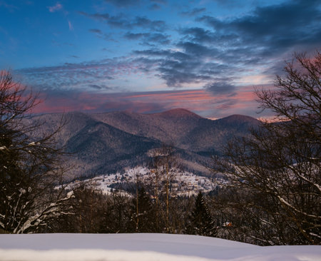 Winter sunset alpine hills with fir  forest view from mountain village. Picturesque seasonal, nature and countryside beauty concept scene.の写真素材