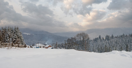 Snowfall over countryside hills, groves and farmlands in winter remote alpine mountain villageの写真素材