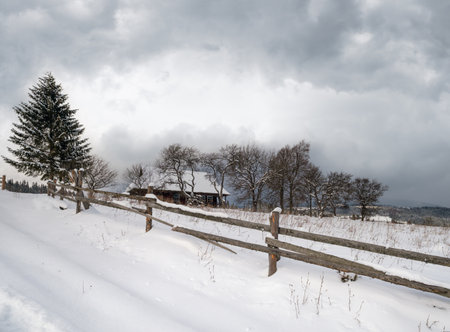 Winter remote alpine mountain village outskirts, countryside hills, groves and farmlands.の写真素材