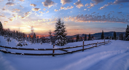 Winter snowy hills, tracks on rural dirt road and trees in last evening sunset sun light. Small and quiet alpine village outskirts.の写真素材