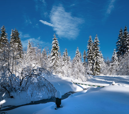 Alpine mountain snowy winter fir forest with snowdrifts and frozen small streamの写真素材
