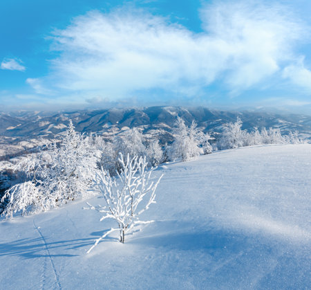 Morning winter calm mountain landscape with beautiful frosting trees and snowdrifts on slope (Carpathian Mountains, Ukraine)の写真素材
