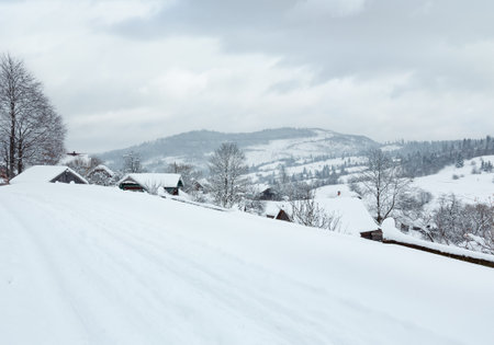 Winter mountain village. Country Ukrainian Carpathians landscape in misty weather.の写真素材