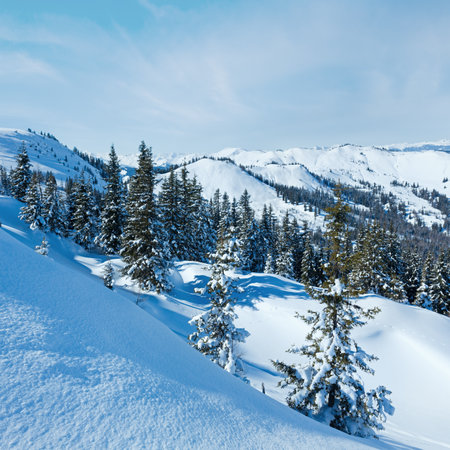 Winter mountain landscape with snowy spruce trees on slope (Hochkoenig region, Austria)の写真素材