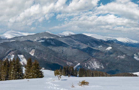 Picturesque winter mountain view from alpine path with footprint. Skupova mountain slope, Ukraine, view to Chornohora ridge and Pip Ivan mountain top with observatory building, Carpathian.の写真素材