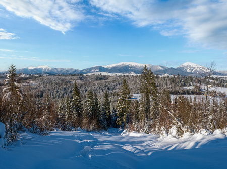 Winter remote alpine village outskirts, countryside hills, groves and farmlands view from mountain slopeの写真素材