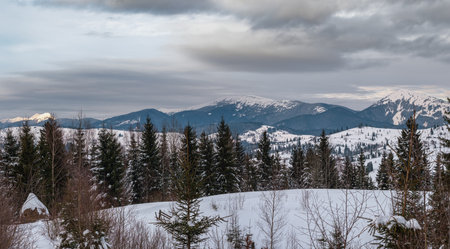 Small alpine village and winter snowy overcast mountains, Voronenko, Carpathian, Ukraine.の写真素材