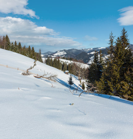 Winter morning picturesque mountain hill top with farmstead snow covered and some withered windbreak trees (Ukraine, Carpathian Mountains, tranquility peaceful Dzembronya village rural outskirts)の写真素材
