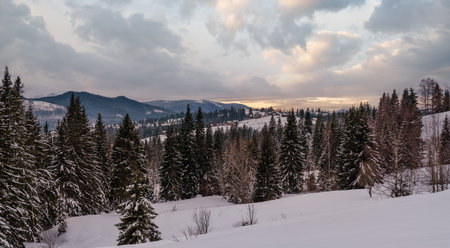 Small alpine village and winter snowy mountains in last sunset sunlight around, Voronenko, Carpathian, Ukraine.の写真素材