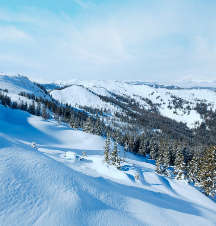 Winter mountain landscape with snowy spruce trees on slope (Hochkoenig region, Austria)の写真素材