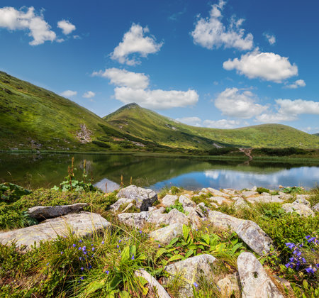 Summer Nesamovyte lake landscape, Chornohora ridge, Carpathian mountains, Ukraineの写真素材