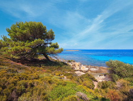 Aegean sea coast landscape, view near Karidi beach (Chalkidiki, Greece).の写真素材