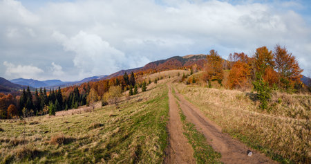 Autumn Carpathian Mountains and dirty countryside path, Ukraine.の写真素材