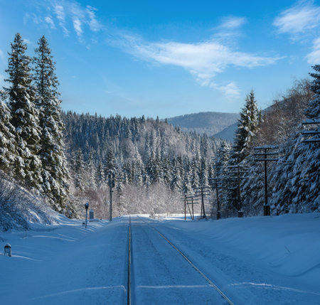 Railway through snowy fir forest and remote alpine helmet in Carpathian mountains, snow drifts  on waysideの写真素材