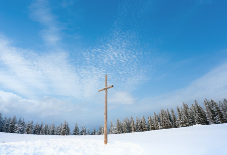 Winter snowy fir trees on mountainside on overcast sky background and wooden cross in front (Carpathians, Ukraine)の写真素材