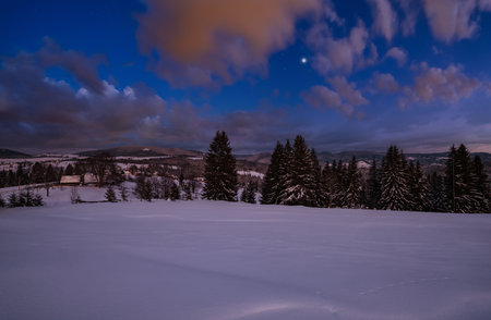 Night alpine village outskirts. Winter snowy hills and fir trees.の写真素材