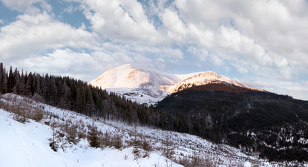 Winter daybreak mountain landscape (Ukraine, Carpathian Mt's, Petros Mountain)の写真素材