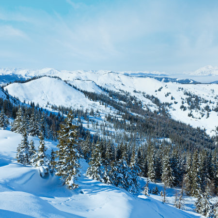 Winter mountain landscape with snowy spruce trees on slope (Hochkoenig region, Austria)の写真素材