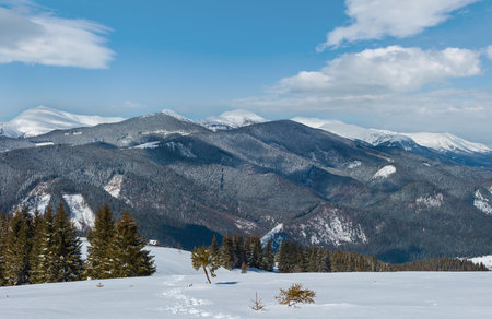 Picturesque winter mountain view from alpine path with footprint. Skupova mountain slope, Ukraine, view to Chornohora ridge and Pip Ivan mountain top with observatory building, Carpathian.の写真素材